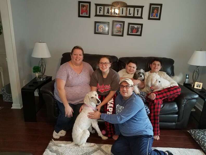 Tổ chức cứu hộ chó Goldendoodle ở Bắc Carolina