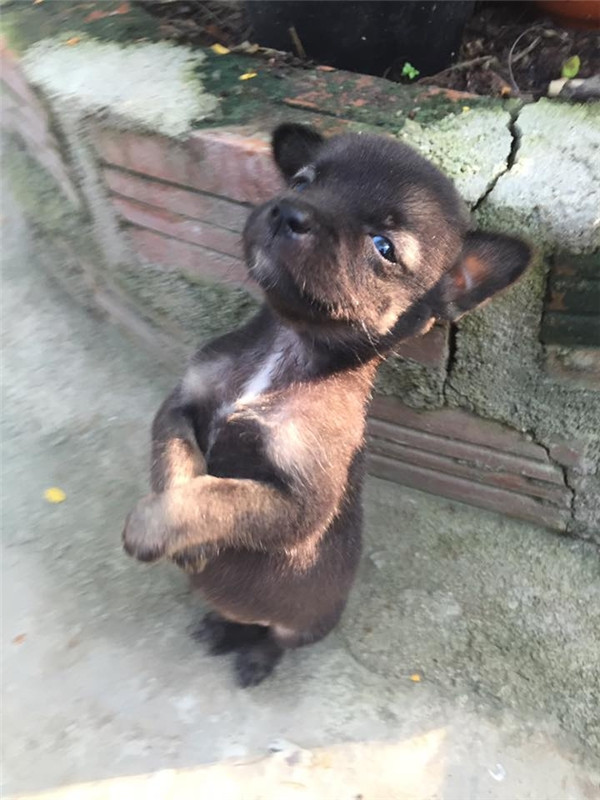 “Tan chẩy” trước khi trút giận em giải quyết cũng không buông tha ảnh 15