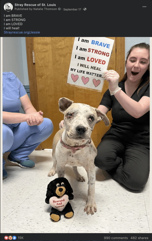 Ảnh chụp màn hình ngày 28 tháng 12 năm 2023 lúc 11:47:05 sáng (bản sao)