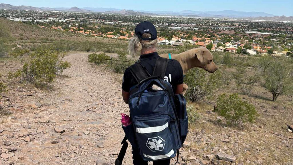 An emergency technician carries a dog named Bright Eyes down a trail at Lookout Mountain.