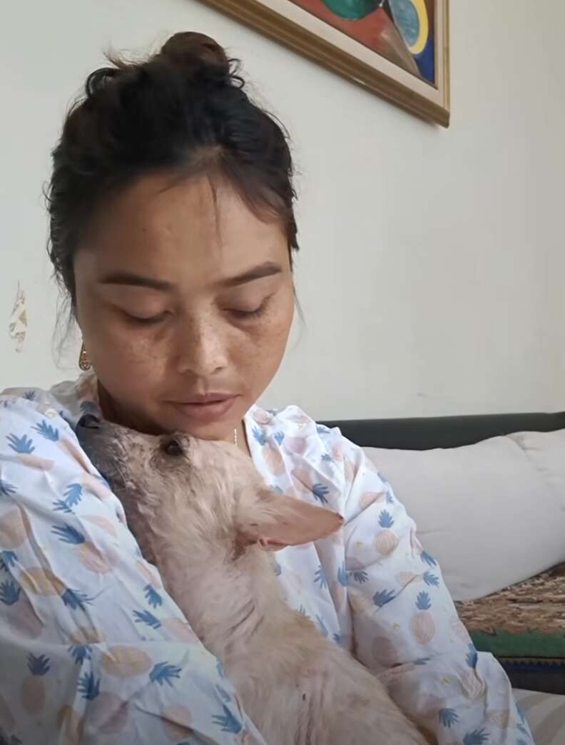 Người phụ nữ bế con chó trên tay