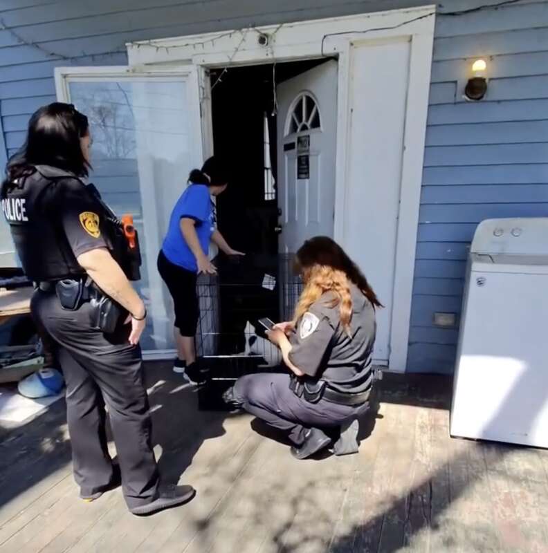 Two police officers and a woman on a front porch with a cage holding a Chihuahua.