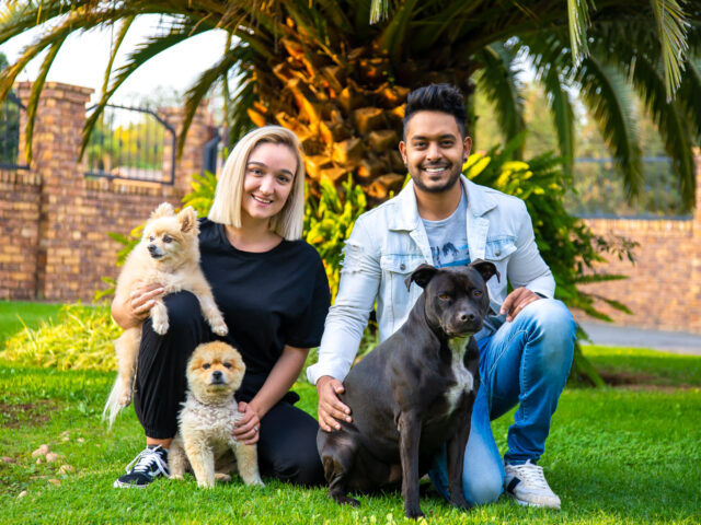 Anh em chó Pit Bull và Pomeranian anh hùng