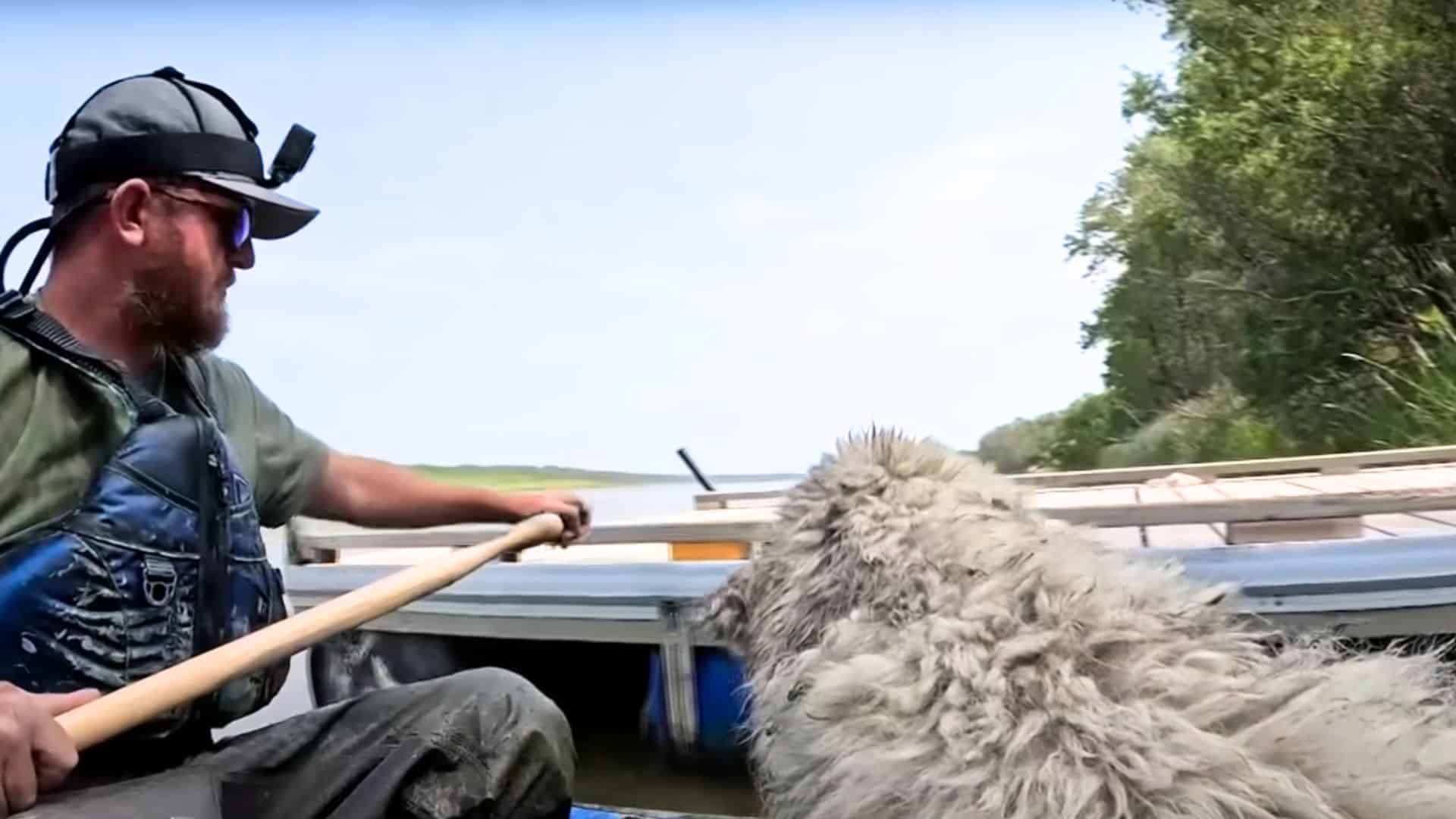 Sau khi cuối cùng cũng giải thoát được cô ấy, anh ta nhấc cô ấy lên thuyền của mình.