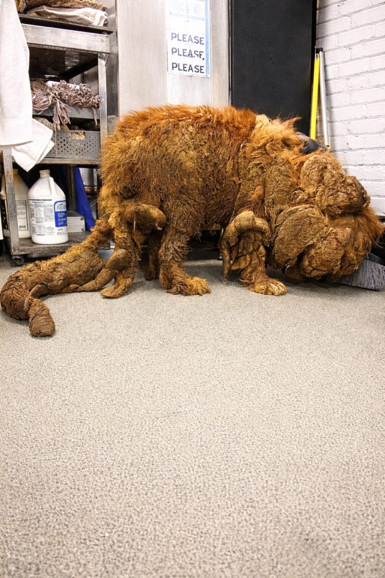Sprout Was Barely Recognizable at the Intersection—Yet Life Came Back ...